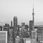 banner 1.jpg
